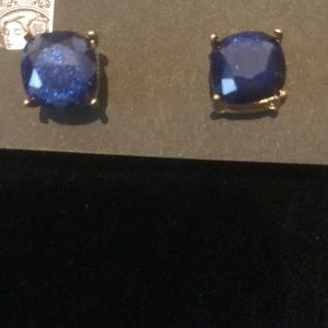 Blue Glass Stud Earrings